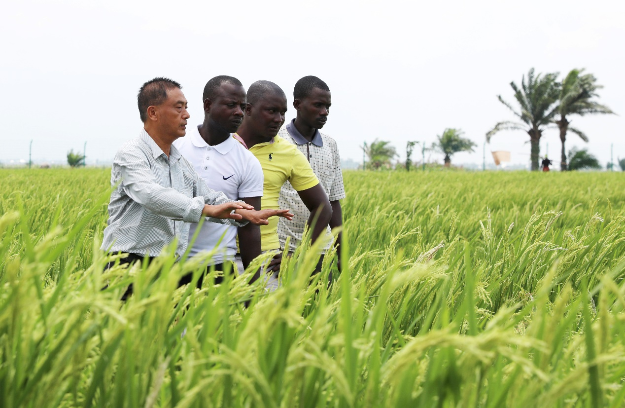 Belt and Road Agricultural Cooperation and Development Forum